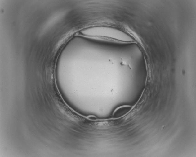 X0000069380059200606021617