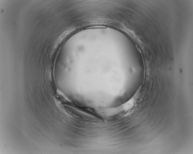 X0000069380060200606021617