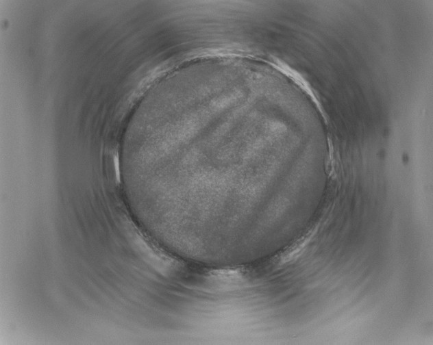 X0000069380061200606021617