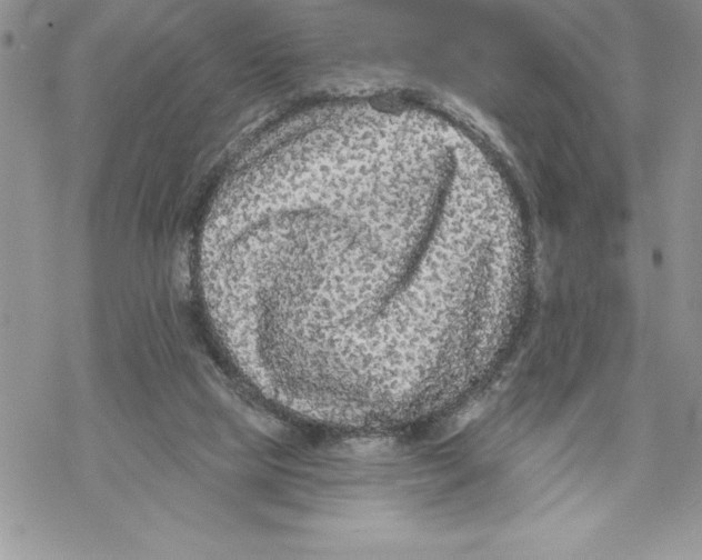 X0000069380065200606021617