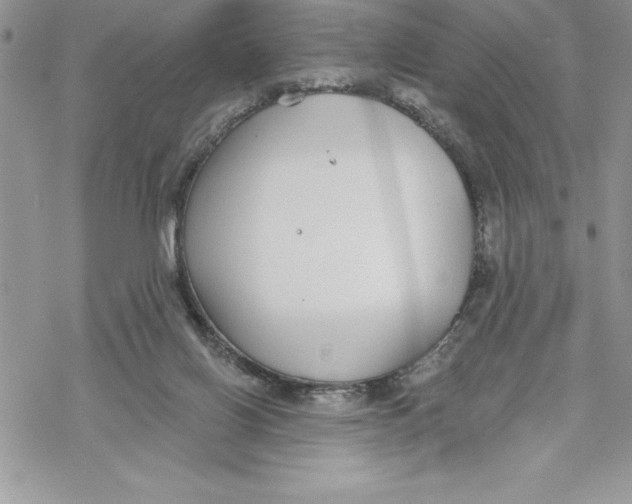 X0000069380070200606021617