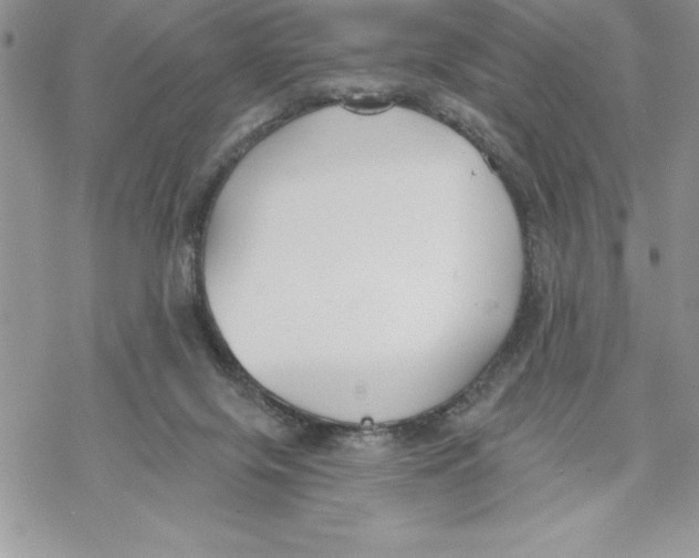 X0000069380071200606021617