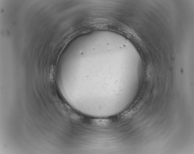 X0000069380073200606021617