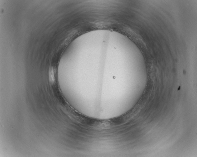 X0000069380075200606021617