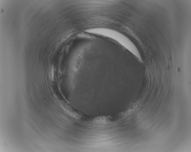 X0000069380076200606021617