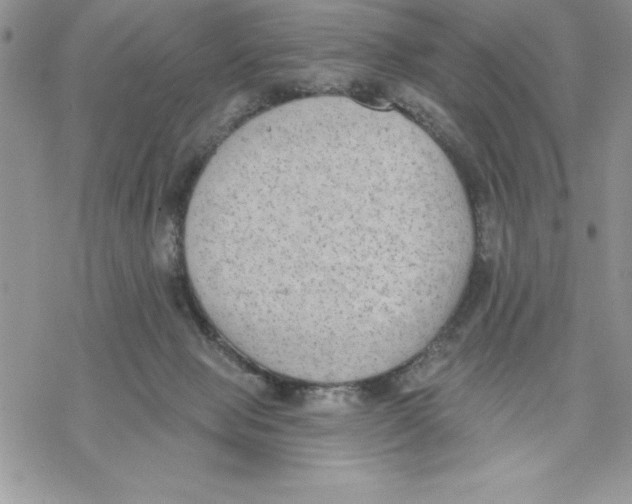 X0000069380077200606021617