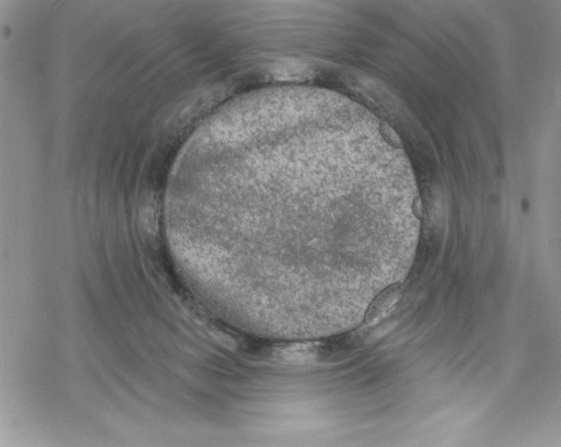 X0000069380078200606021617