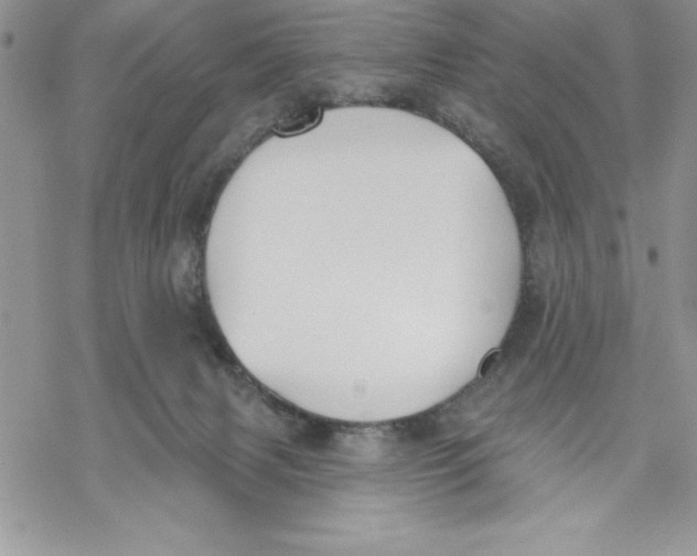 X0000069380079200606021617