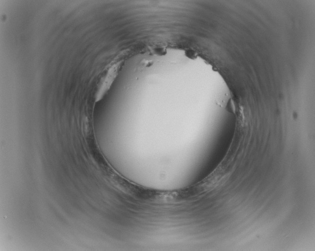 X0000069380080200606021617