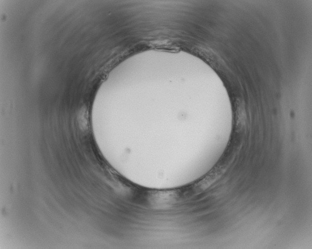 X0000069380081200606021617