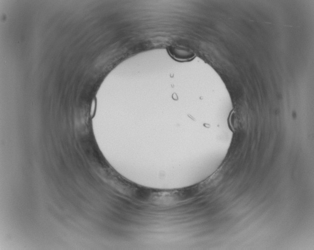 X0000069380082200606021617