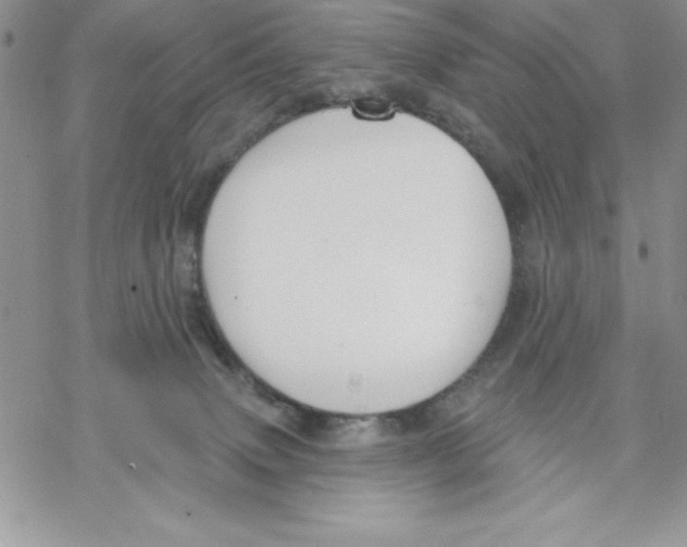 X0000069380083200606021617