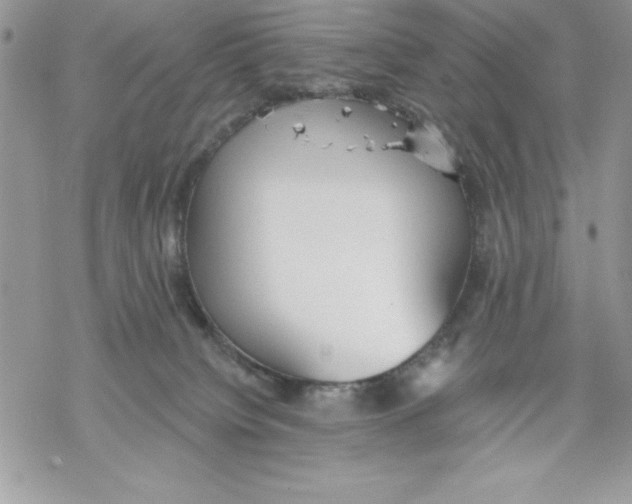 X0000069380084200606021617