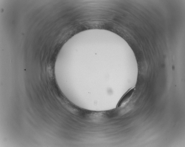 X0000069380086200606021617