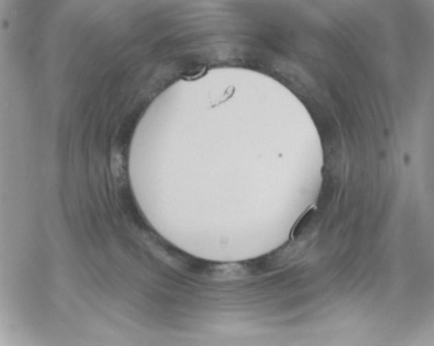 X0000069380087200606021617