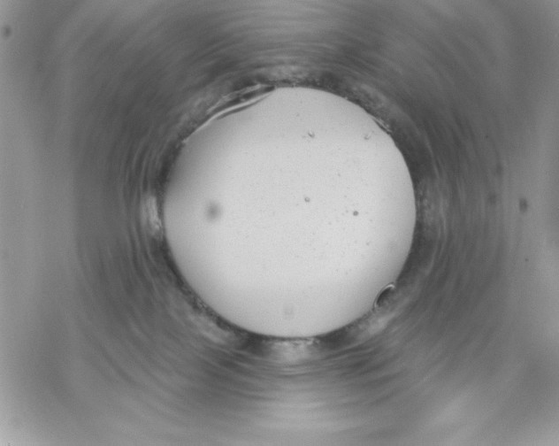 X0000069380089200606021617