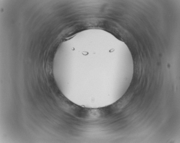 X0000069380091200606021617