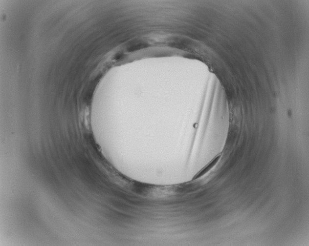 X0000069380094200606021618