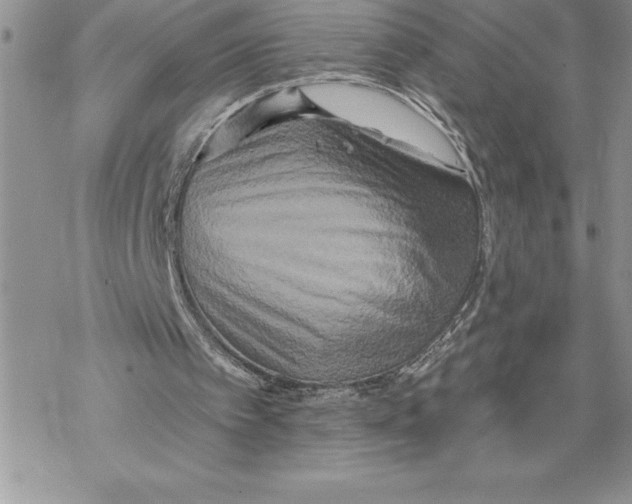 X0000069380097200606021617