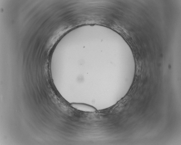 X0000069380098200606021617