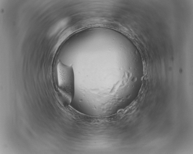 X0000069380099200606021617