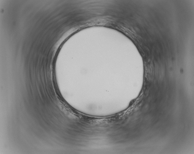 X0000069380100200606021617