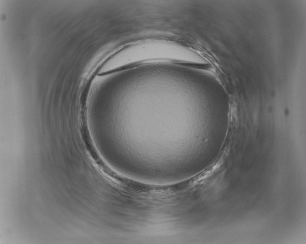 X0000069380101200606021617