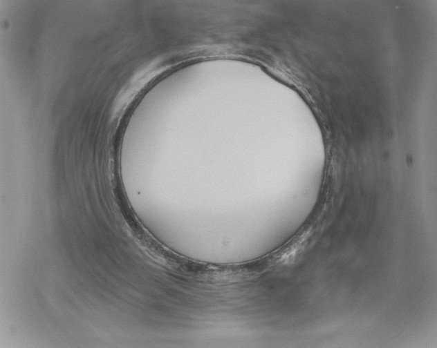 X0000069380103200606021617