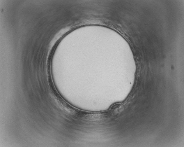 X0000069380104200606021617