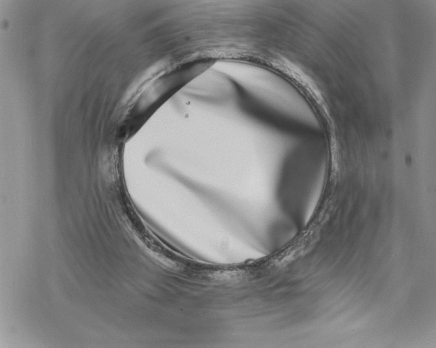 X0000069380105200606021617