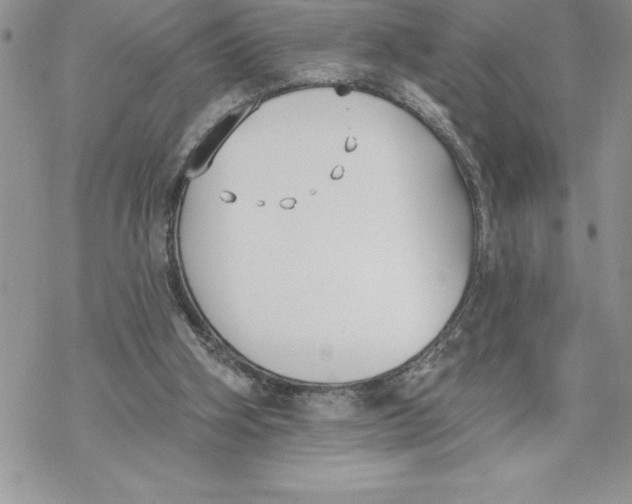 X0000069380106200606021617