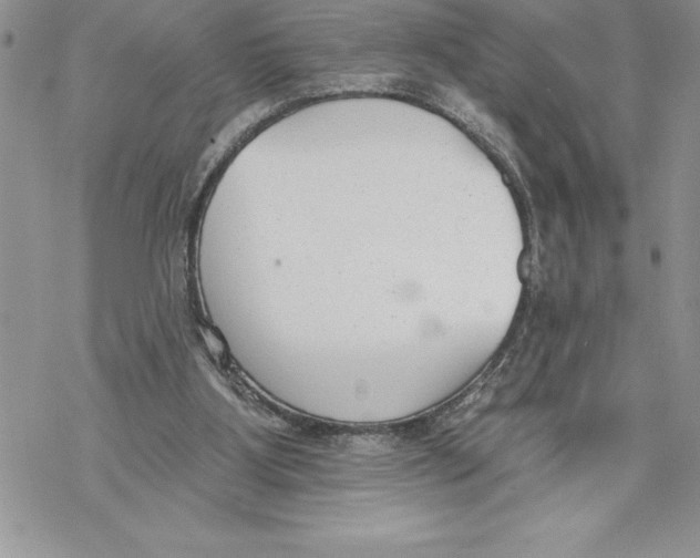 X0000069380107200606021617