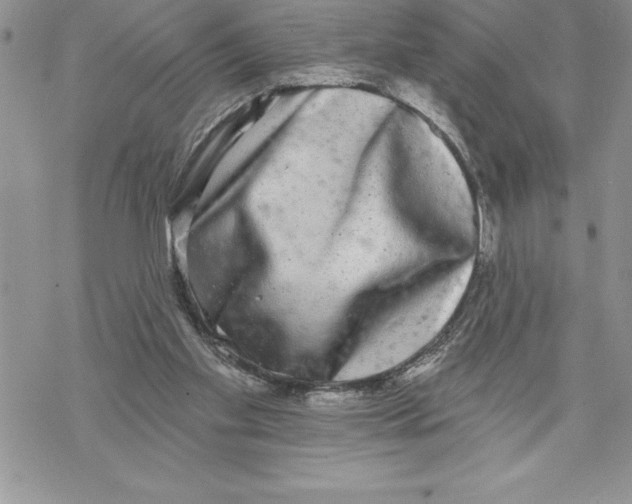 X0000069380109200606021617