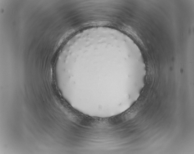 X0000069380110200606021617