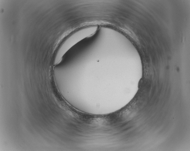 X0000069380111200606021617