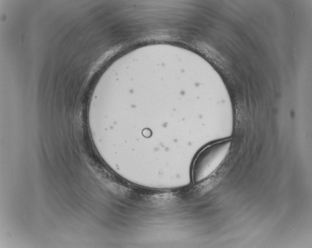 X0000069380112200606021617