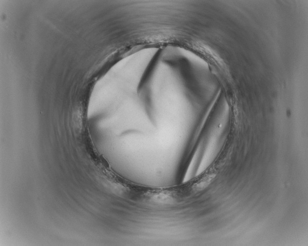 X0000069380113200606021617