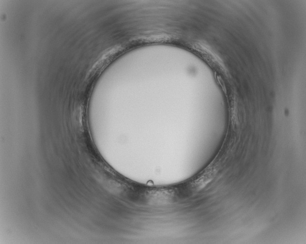 X0000069380115200606021617