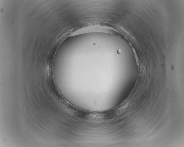 X0000069380117200606021616