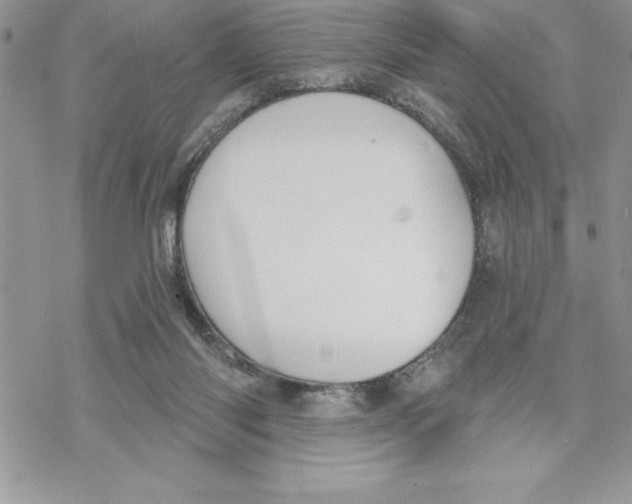 X0000069380118200606021616