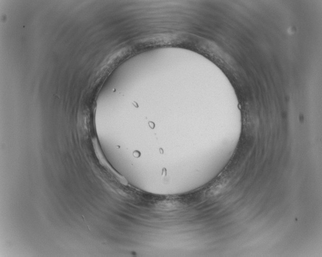 X0000069380119200606021616