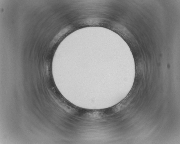 X0000069380120200606021616