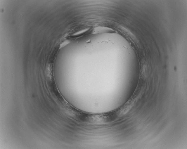 X0000069380121200606021616