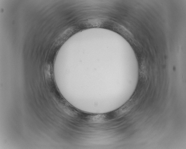 X0000069380122200606021616