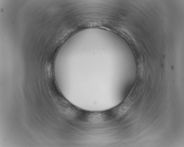 X0000069380123200606021616