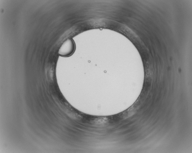 X0000069380124200606021616