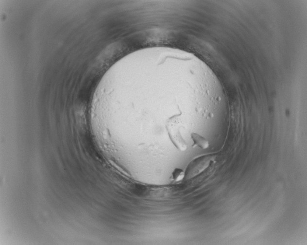 X0000069380127200606021616