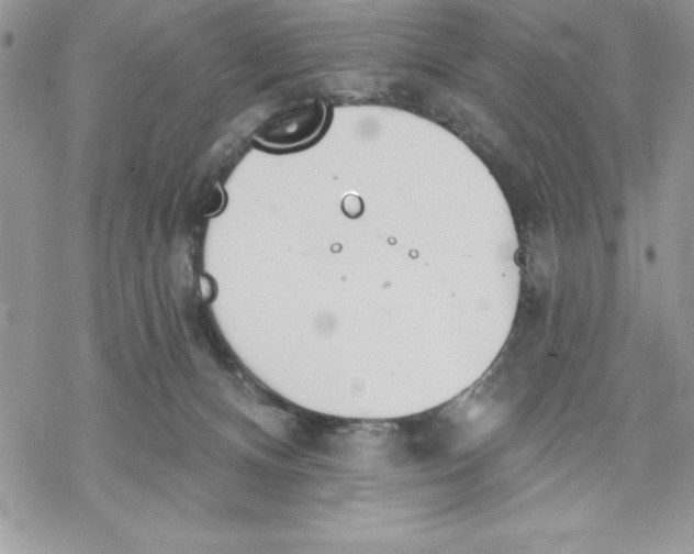 X0000069380128200606021616