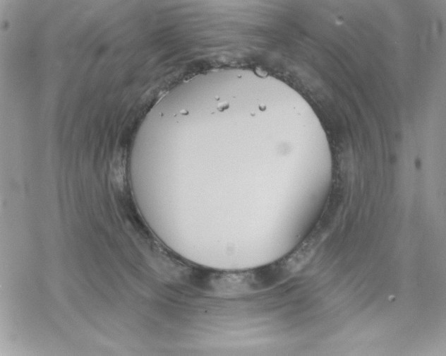 X0000069380129200606021616