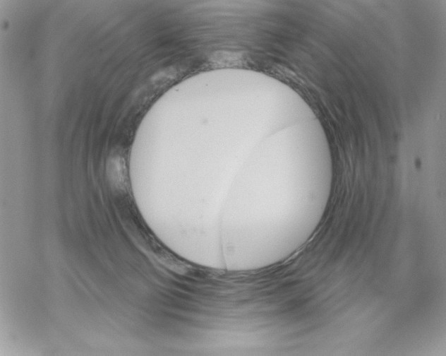 X0000069380130200606021616